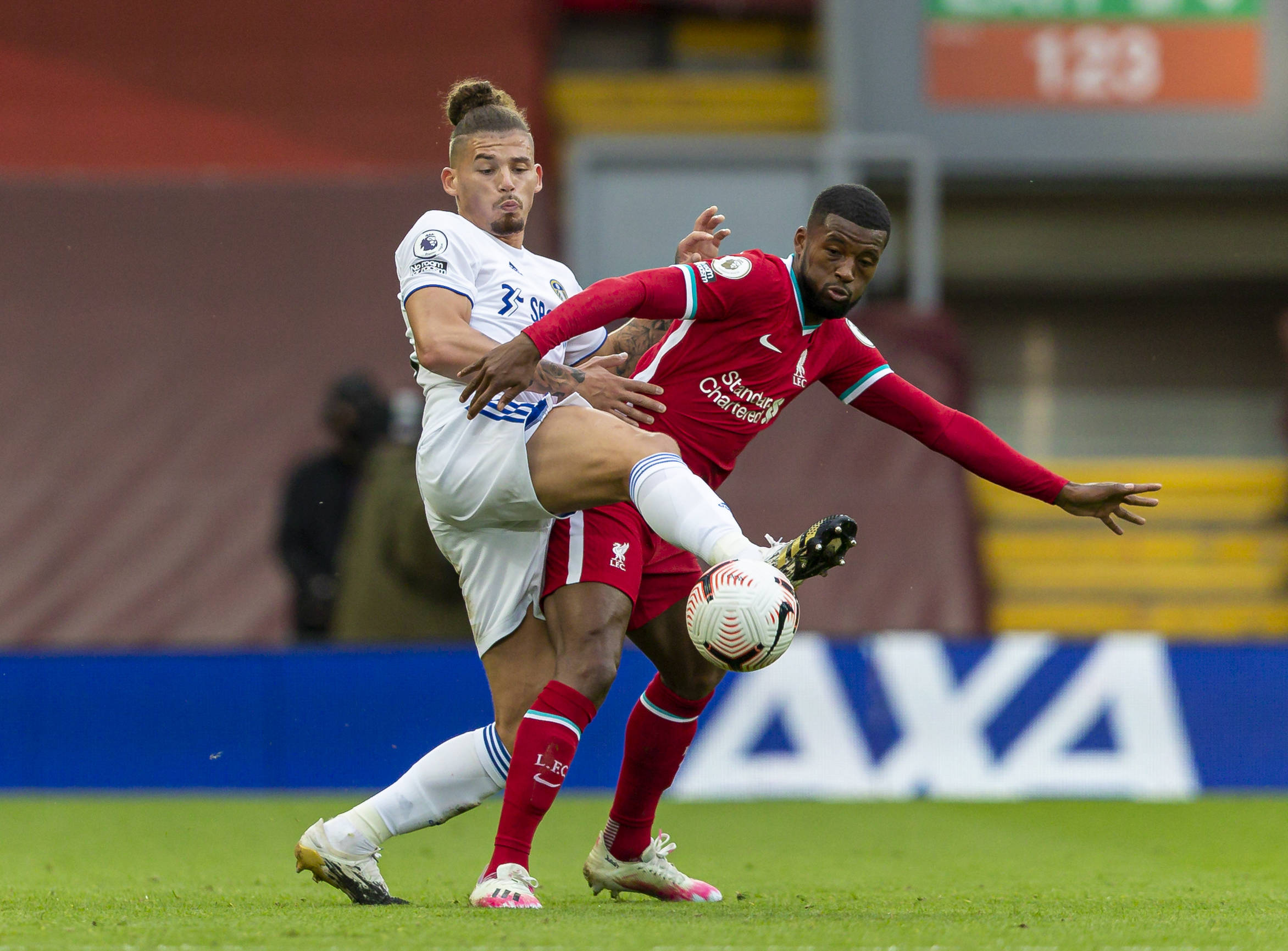 僅拓寬了比 僅拓寬了比